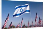 Israeli and American flags during 3000 Flags for 9-11 tribute by Anonymous