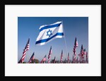 Israeli and American flags during 3000 Flags for 9-11 tribute by Anonymous