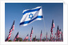 Israeli and American flags during 3000 Flags for 9-11 tribute by Anonymous