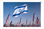 Israeli and American flags during 3000 Flags for 9-11 tribute by Anonymous