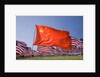 Chinese and American flags during 3000 Flags for 9-11 tribute by Anonymous