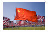 Chinese and American flags during 3000 Flags for 9-11 tribute by Anonymous