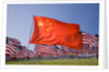 Chinese and American flags during 3000 Flags for 9-11 tribute by Anonymous