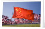 Chinese and American flags during 3000 Flags for 9-11 tribute by Anonymous