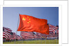 Chinese and American flags during 3000 Flags for 9-11 tribute by Anonymous