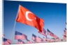 Turkish and American flags during 3000 Flags for 9-11 tribute by Anonymous