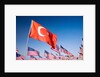Turkish and American flags during 3000 Flags for 9-11 tribute by Anonymous