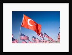 Turkish and American flags during 3000 Flags for 9-11 tribute by Anonymous