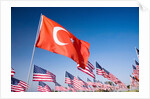 Turkish and American flags during 3000 Flags for 9-11 tribute by Anonymous