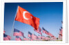 Turkish and American flags during 3000 Flags for 9-11 tribute by Anonymous