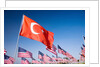 Turkish and American flags during 3000 Flags for 9-11 tribute by Anonymous