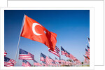 Turkish and American flags during 3000 Flags for 9-11 tribute by Anonymous