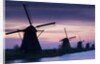 Row of windmills at sunrise in the Netherlands by Anonymous