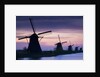 Row of windmills at sunrise in the Netherlands by Anonymous
