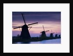 Row of windmills at sunrise in the Netherlands by Anonymous