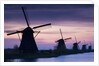 Row of windmills at sunrise in the Netherlands by Anonymous