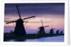 Row of windmills at sunrise in the Netherlands by Anonymous