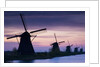 Row of windmills at sunrise in the Netherlands by Anonymous