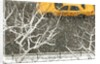 Yellow cab on Park Avenue in a snowstorm by Anonymous