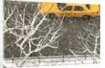 Yellow cab on Park Avenue in a snowstorm by Anonymous