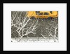 Yellow cab on Park Avenue in a snowstorm by Anonymous