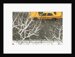 Yellow cab on Park Avenue in a snowstorm by Anonymous