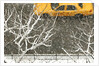 Yellow cab on Park Avenue in a snowstorm by Anonymous
