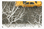 Yellow cab on Park Avenue in a snowstorm by Anonymous