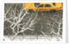 Yellow cab on Park Avenue in a snowstorm by Anonymous