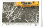 Yellow cab on Park Avenue in a snowstorm by Anonymous
