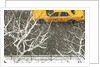 Yellow cab on Park Avenue in a snowstorm by Anonymous