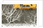 Yellow cab on Park Avenue in a snowstorm by Anonymous
