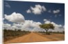 Empty road in Laikipia, Kenya. by Anonymous