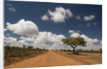 Empty road in Laikipia, Kenya. by Anonymous