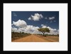 Empty road in Laikipia, Kenya. by Anonymous