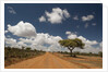 Empty road in Laikipia, Kenya. by Anonymous