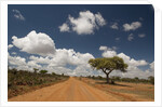 Empty road in Laikipia, Kenya. by Anonymous