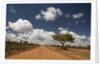 Empty road in Laikipia, Kenya. by Anonymous