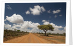 Empty road in Laikipia, Kenya. by Anonymous