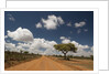 Empty road in Laikipia, Kenya. by Anonymous