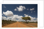 Empty road in Laikipia, Kenya. by Anonymous