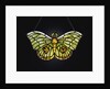 Tiffany Studios butterfly leaded glass lamp pendant with iridescent Favrile glass by Anonymous