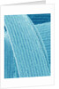 Lens fiber of eye (rabbit) by Anonymous
