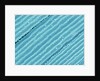Lens fiber of a rabbit eye by Anonymous
