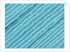 Lens fiber of a rabbit eye by Anonymous