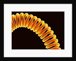 Filament of light bulb by Anonymous
