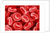 Human Red blood cells by Anonymous