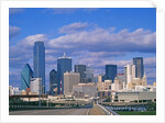 Dallas skyline by Anonymous