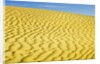 Pattern in sand dunes by Anonymous