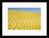 Pattern in sand dunes by Anonymous